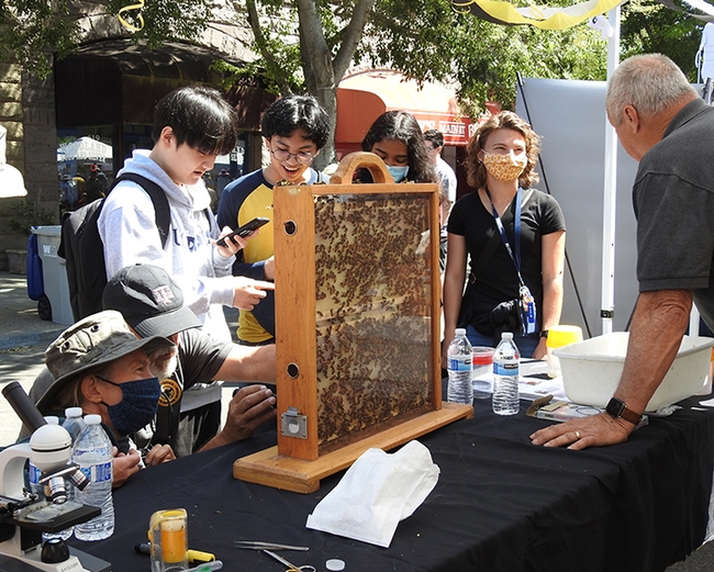 CAMBP member John Johnson of Carmichael, answers questions about bees. (Photo by Kathy Keatley Garvey)