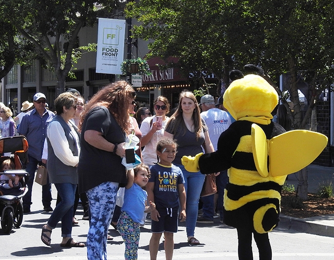 Donned in a bee costume, Wendy Mather, program manager of the UC Davis-based California Master Beekeeper Program, drew scores of admirers. (Photo by Kathy Keatley Garvey)