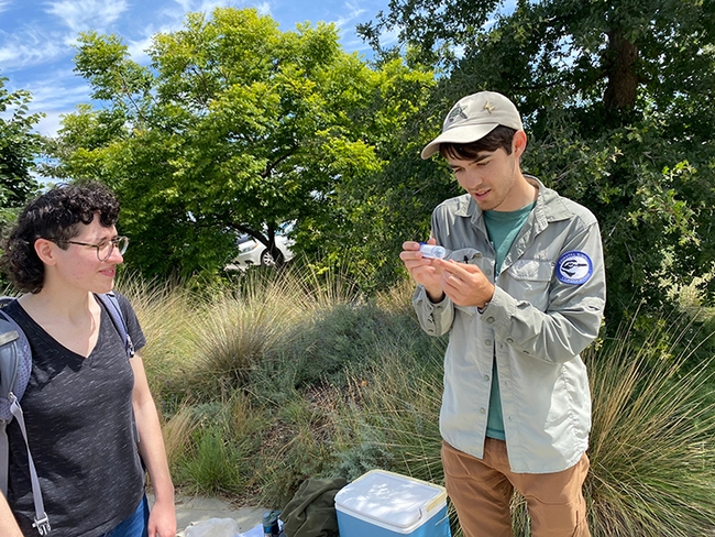 Tour leader Dylan Winkler, bumble bee scientific aide for the CDFWs Wildlife Diversity Program, checks out a bumble bee species. At left is UC Davis doctoral entomology candidate Daniele Rutkowski. (Photo by Cindy McReynolds)