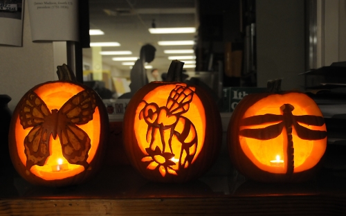 SOMETHING BUGGY HERE: These jack o'lanterns cast an eerie glow: a butterfly, honey bee and a dragonfly. (Photo by Kathy Keatley Garvey)