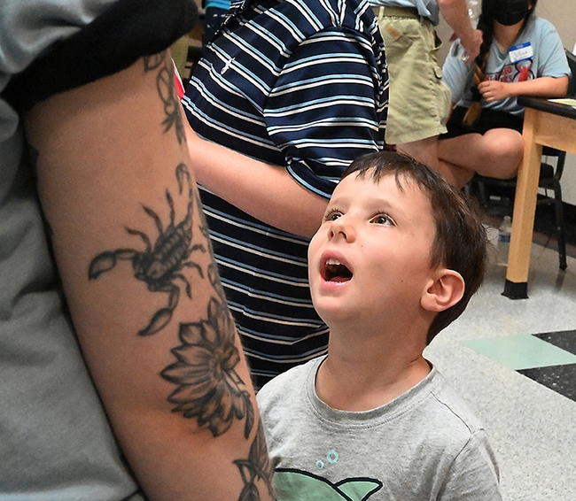 Shaked Hoffman, 5, of Davis, listens intently to an arachnologist talking about spiders. (Photo by Kathy Keatley Garvey)