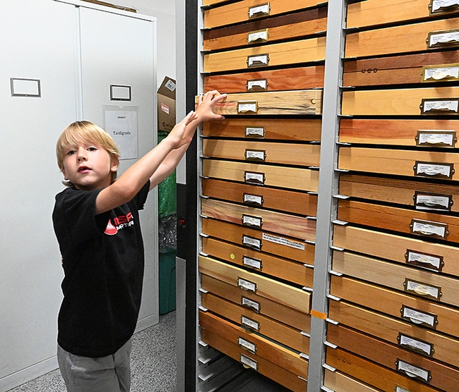 Let's open this drawer! Niccolo Zebouni, 7, of Davis, wants to see what's inside. (Photo by Kathy Keatley Garvey)