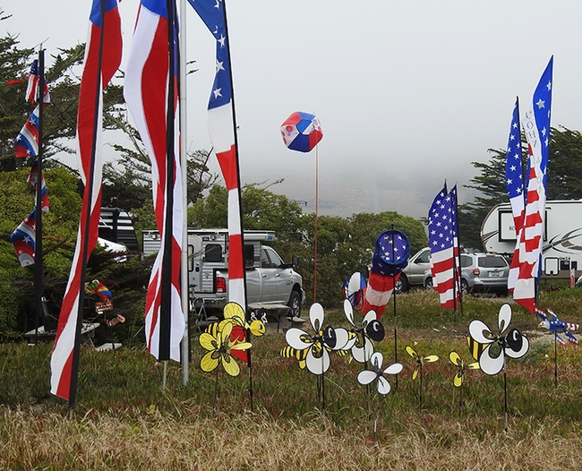 Hurrah for the red, white and blue! And the yellow. Honey bee mobiles were spinning in the wind at a Bodega Bay campsite. (Photo by Kathy Keatley Garvey)