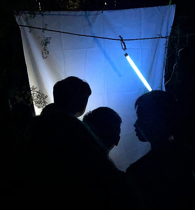 Youngsters delight in the blacklighting display as they watch moths land on the UV-illuminated white hanging sheet. (Photo by Kathy Keatley Garvey)