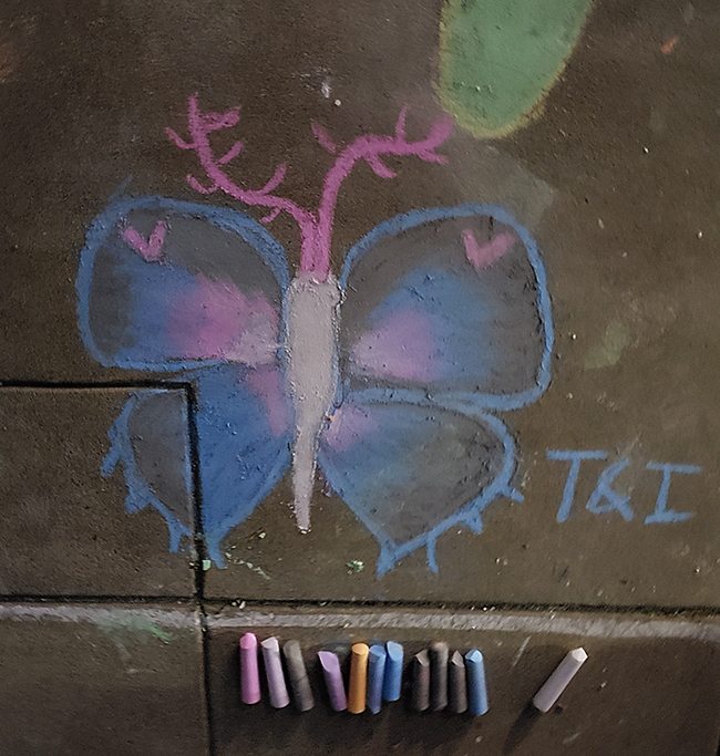 A chalk artist made his/her mark in front of the Bohart Museum of Entomology. (Photo by Tabatha Yang)
