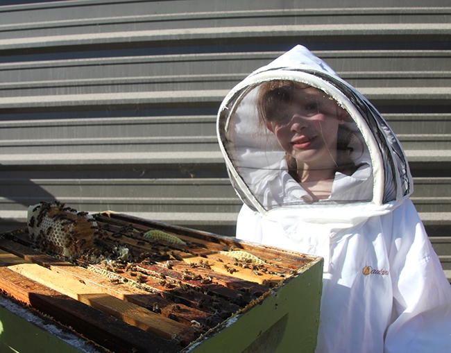 Eve, a third-year beekeeper, inspects her hive. (Photo by Ettamarie Peterson)
