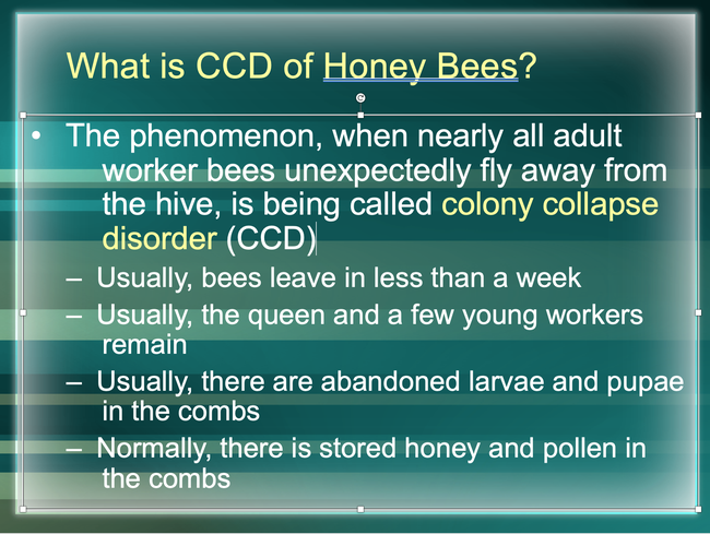Extension apiculturist Eric Mussen briefly explained colony collapse disorder in this slide.