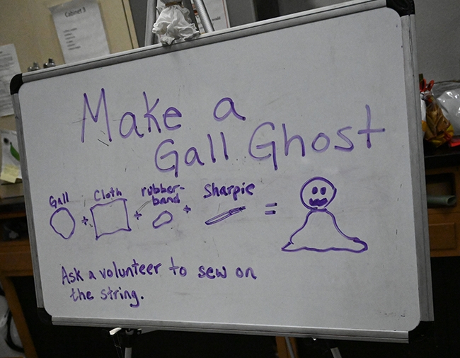 A sign prompted folks to try their hand at making gall ghosts. (Photo by Kathy Keatley Garvey)