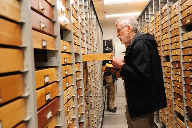 Entomologist and butterfly collector Bill Patterson looks through a drawer during the international Lepidopterists' Society meeting in 2017 at UC Davis. (Photo by Kathy Keatley Garvey)