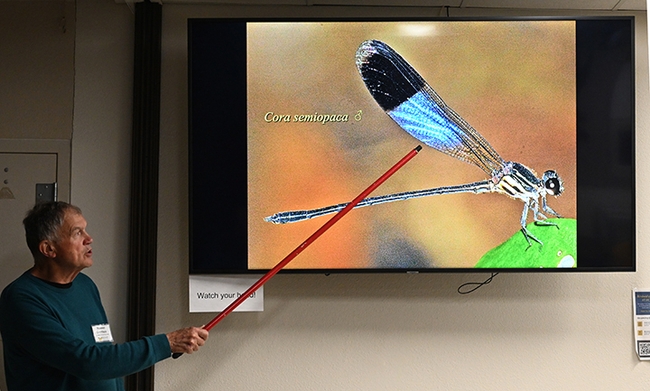 Noted dragonfly expert Rosser Garrison shows a slide of Cora semiopaca at the Bohart Museum of Entomology open house. (Photo by Kathy Keatley Garvey)