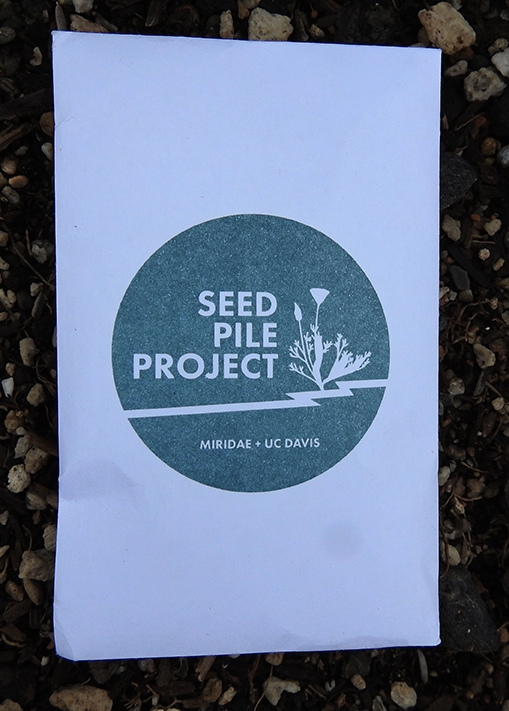 Packet of seeds, Seed Pile Project