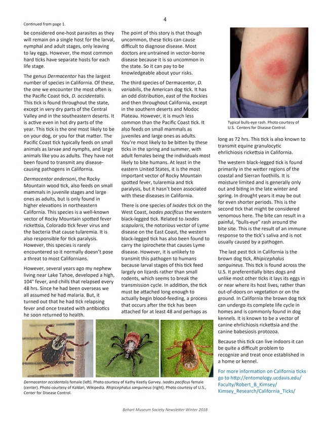 Second of two pages of information on ticks, Bohart Museum newsletter, Winter 2018