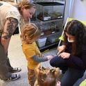 Tabatha Yang, the Bohart Museum's education and outreach coordinator, introduces a stick insect, aka walking stick, to Teddy Marlatte, 4, and his mother, Maddy Marlatte of Auburn. In the foreground is Teddy's sister Reagan. (Photo by Kathy Keatley Garvey)