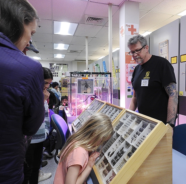 An enthusiastic little girl (future entomologist?) buries her head in a beetle display at the Bohart Museum open house, much to the delight of UC Berkeley associate professor and carabid beetle specialist Kipling 