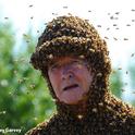 BEE MAN Norman Gary, emeritus professor, University of California, Davis, is covered with bees during a shoot for the History Channel. The segment, for Stan Lee’s “Super Humans,” is scheduled to be broadcast at 10 p.m., Pacific Time. (Photo by Kathy Keatley Garvey)