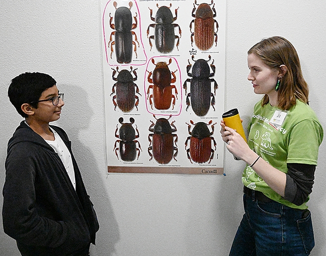 UC Davis doctoral student Jill Oberski answers questions from Ziya Akmal of Los Angeles. Akmal made the 400-mile trip to talk to Professor Phil Ward and the Ward lab members at the 12th annual UC Davis Biodiversity Museum Day. (Photo by Kathy Keatley Garvey)