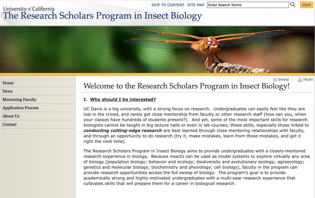 A screen shot of the UC Davis Research Scholars Program in Insect Biology website.