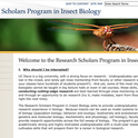 A screen shot of the UC Davis Research Scholars Program in Insect Biology website.