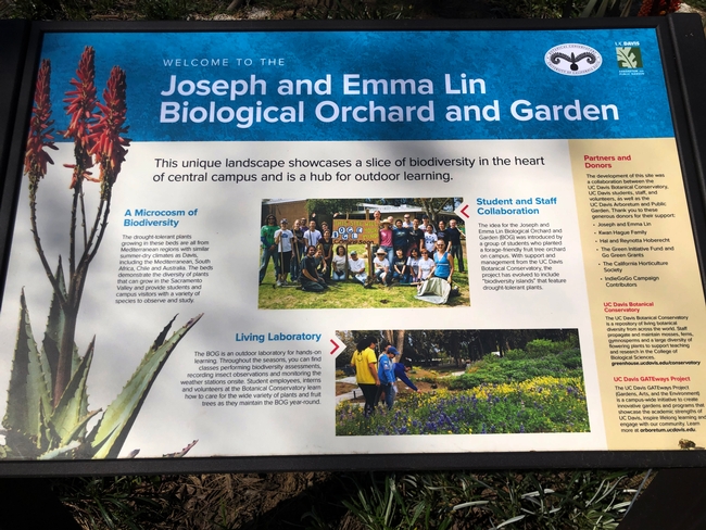 Signage in the Joseph and Emma Lin Biological Orchard and Garden (Photo by Kathy Keatley Garvey)