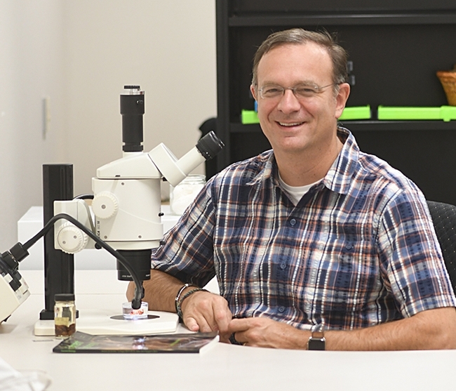Jason Bond, the Evert and Marion Schlinger Endowed Chair in the UC Davis Department of Entomology and Nematology