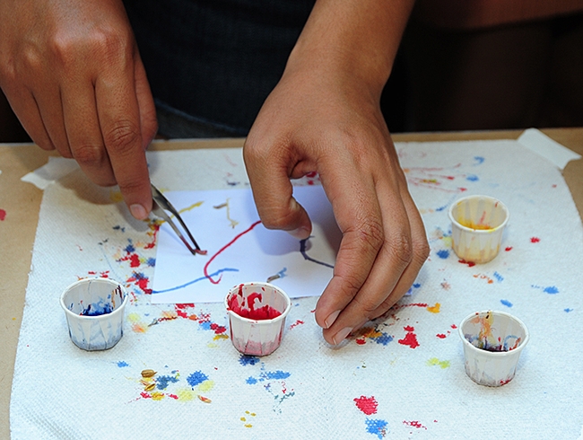 So many colors to choose from! A young artist working on his Maggot Art. (Photo by Kathy Keatley Garvey)