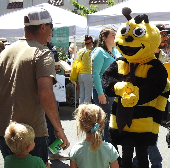 Wendy Mather, program manager of the California Master Beekeeper Program, dresses as a bee at the California Honey Festival. (Photo by Kathy Keatley Garvey)