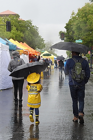 Raincoats and umbrellas stood out at the California Honey Festival. (Photo by Kathy Keatley Garvey)
