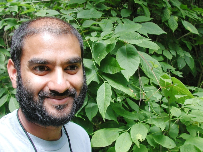 Anurag Agrawal, professor of evolution and ecology at Cornell, returns to the UC Davis campus Jan. 18 to give a seminar.