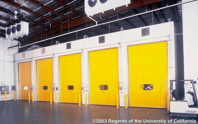 A large room with several yellow doors.