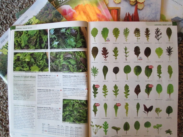 A seed catalog opened to a page with pictures of leaf shapes.