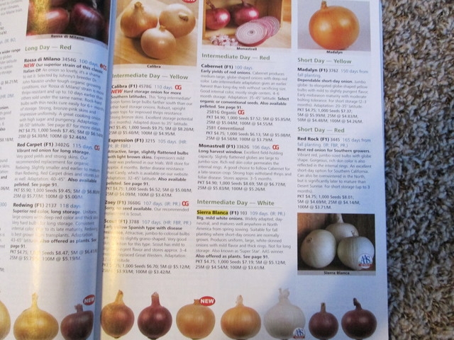 A seed catalog opened to a page with visual and textual descriptions of onion cultivars.