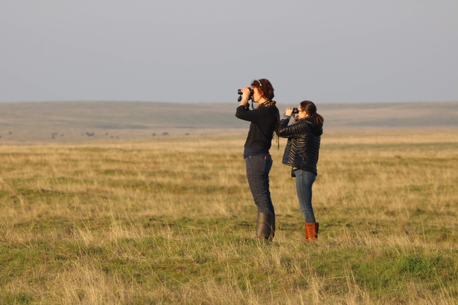 Two people stand on a grassland prairie under a big blue sky, looking toward the horizon with binoculars.