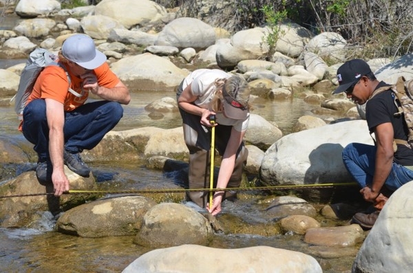 Ojai Valley Land Conservancy California Naturalists conduct a stream survey.