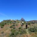California Conservation Corps members learn about fire ecology and post-fire vegetation recovery at the recent UC Hopland Research & Extension Center immersion course