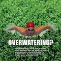 Overwatering