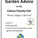 County fair flyer