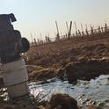 Irrigation for a new vineyard in the Cuyama groundwater basin. Photo by Casey Walsh.