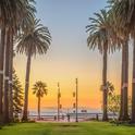 Santa Barbara’s iconic palm trees. Photo by Alex Beattie.