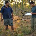 Don Hankins (right) sampling vegetation for a fire and biodiversity project in the Kaanju Ngaachi Indigenous Protected Area on the Cape York Peninsula, Queensland, Australia. Photo by Niki Michail.