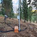 An instrumented forest restoration site in the Middle Fork of the American River Basin. Credit: Safeeq Khan.