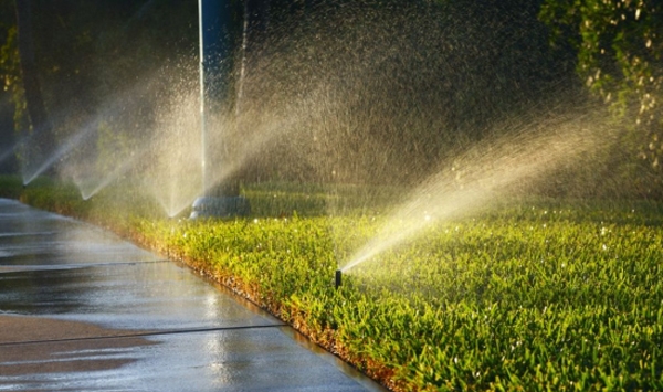 Sprinklers watering both lawn and sidewalk.