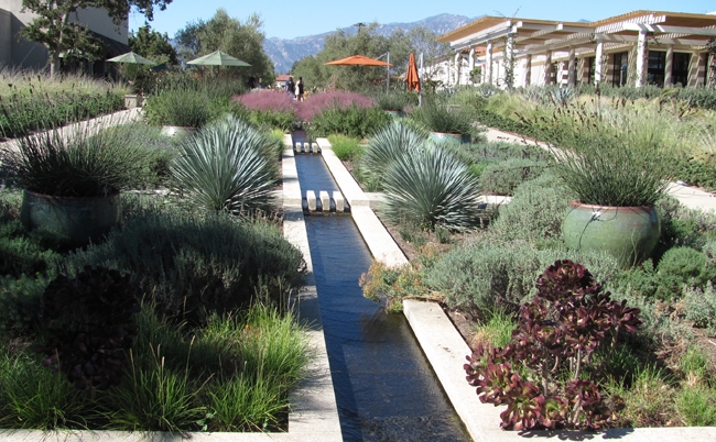 Huntington Gardens in San Marino, California, provides an example of an attractive, low water use landscape. Photo by John Karlik.