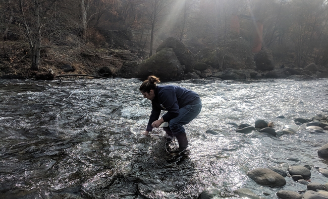 Tracy Schohr, UC Cooperative Extension advisor, samples a stream below the town of Paradise, CA, after the Camp Fire in 2018. Photo by Ryan Schohr.