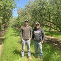 Rob Schuh and son-in-law Andrew Carroll standing in their almond orchard. Photo by Caddie Bergren.