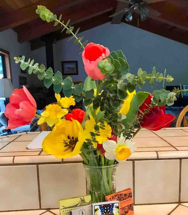 Tulips and daffodils make beautiful cut flower displays. Michelle Graydon