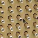 Mason bee approaching nesting tubes made of paper. Tom Hansen