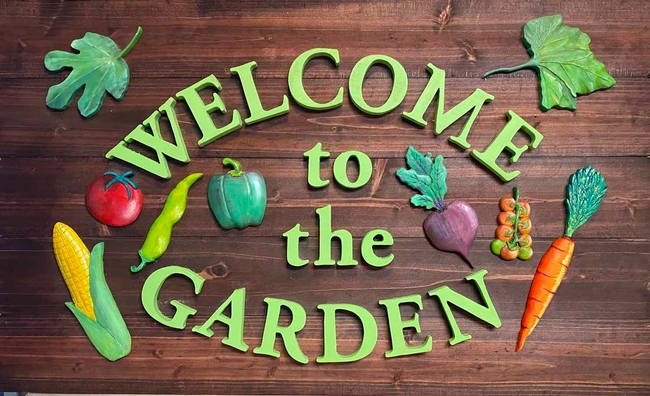 This sign created by Kathy Mahannah welcomes visitors to the community garden at St. Timothy's Church in Gridley. Grace Mahannah