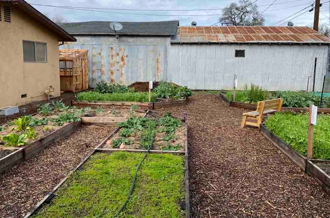 A view of the raised beds in the community Garden at St. Timothy's Episcopalian Church in Gridley. Grace Mahannah