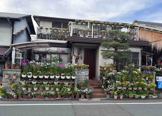 An exuberant collection of plants in containers covers the front of this residence in Kyoto. J.C. Lawrence