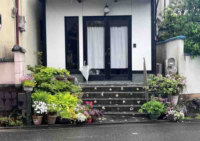 A Kyoto resident creates a pleasing plant display in this container garden at street level in Kyoto. J.C. Lawrence